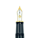 Pelikan M650 Fountain Pen
